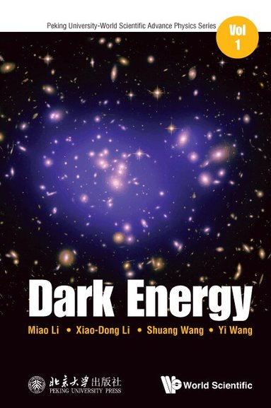 Miao Li, Xiao-Dong Li, Shuang Wang, Yi Wang - DARK ENERGY, Inbunden