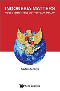 bokomslag Indonesia Matters: Asia's Emerging Democratic Power