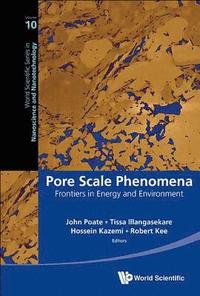 bokomslag Pore Scale Phenomena: Frontiers In Energy And Environment