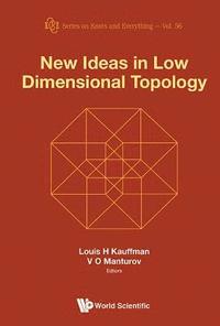 bokomslag New Ideas In Low Dimensional Topology