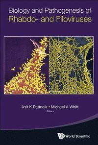 bokomslag Biology And Pathogenesis Of Rhabdo- And Filoviruses