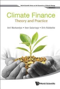 bokomslag Climate Finance: Theory And Practice