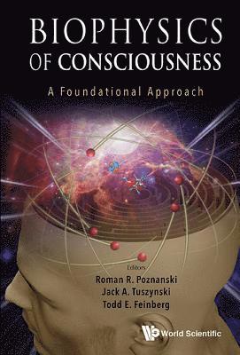 bokomslag Biophysics Of Consciousness: A Foundational Approach