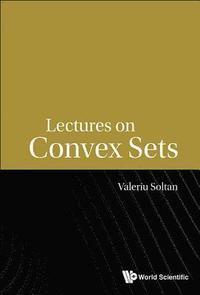 bokomslag Lectures On Convex Sets
