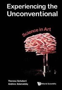 bokomslag Experiencing The Unconventional: Science In Art