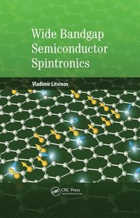 bokomslag Wide Bandgap Semiconductor Spintronics