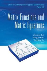 bokomslag Matrix Functions And Matrix Equations