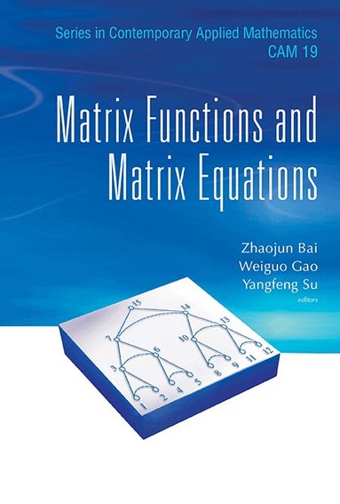 Bai Zhaojun, Zhaojun Bai, Weiguo Gao, Yangfeng Su - MATRIX FUNCTIONS AND MATRIX EQUATIONS, Inbunden