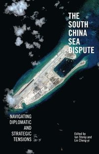bokomslag The South China Sea Dispute