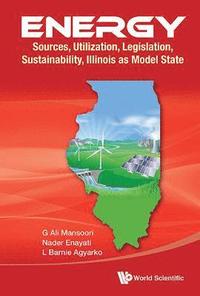 bokomslag Energy: Sources, Utilization, Legislation, Sustainability, Illinois As Model State