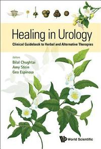 bokomslag Healing In Urology: Clinical Guidebook To Herbal And Alternative Therapies