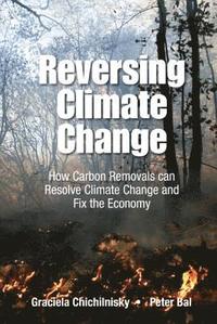 bokomslag Reversing Climate Change: How Carbon Removals Can Resolve Climate Change And Fix The Economy