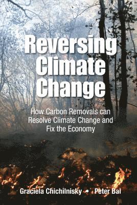 Reversing Climate Change: How Carbon Removals Can Resolve Climate Change And Fix The Economy 1