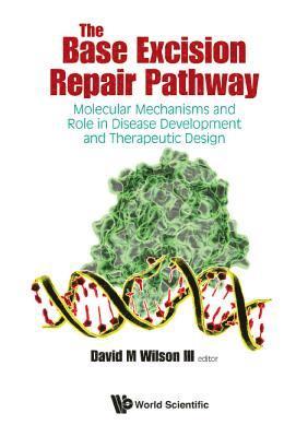 bokomslag Base Excision Repair Pathway, The: Molecular Mechanisms And Role In Disease Development And Therapeutic Design