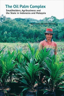 bokomslag The Oil Palm Complex