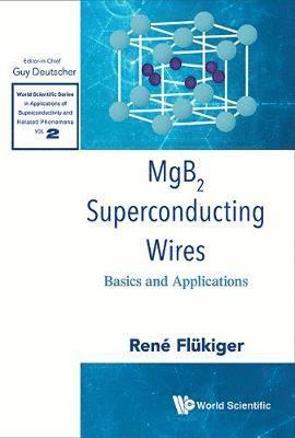 bokomslag Mgb2 Superconducting Wires: Basics And Applications