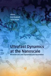 bokomslag Ultrafast Dynamics at the Nanoscale