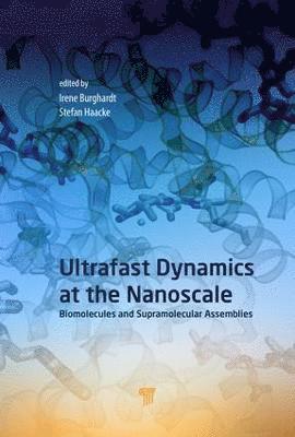 Ultrafast Dynamics at the Nanoscale 1