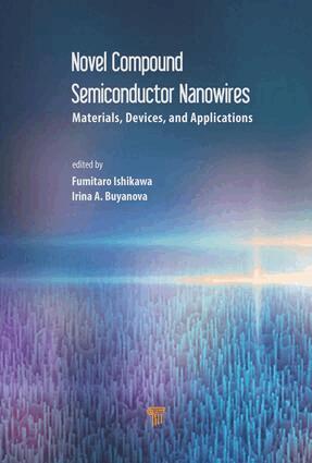 Fumitaro Ishikawa, Irina Buyanova - Novel Compound Semiconductor Nanowires, Inbunden