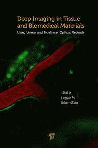 bokomslag Deep Imaging in Tissue and Biomedical Materials