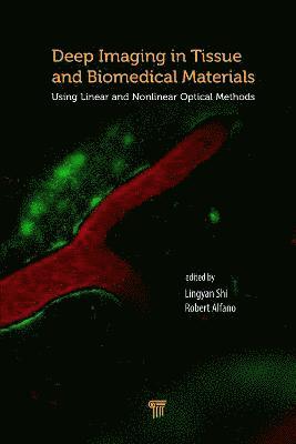 Deep Imaging in Tissue and Biomedical Materials 1