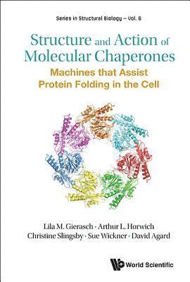 bokomslag Structure And Action Of Molecular Chaperones: Machines That Assist Protein Folding In The Cell