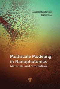 bokomslag Multiscale Modeling in Nanophotonics