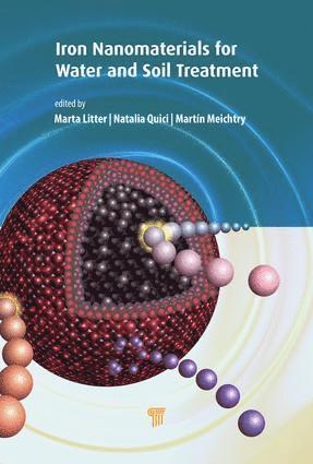 Marta I. Litter, Natalia Quici, Martin Meichtry, Argentina) Quici, Natalia (CONICET, Buenos Aires - Iron Nanomaterials for Water and Soil Treatment, Inbunden