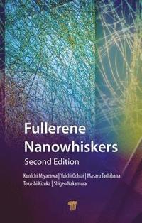 bokomslag Fullerene Nanowhiskers