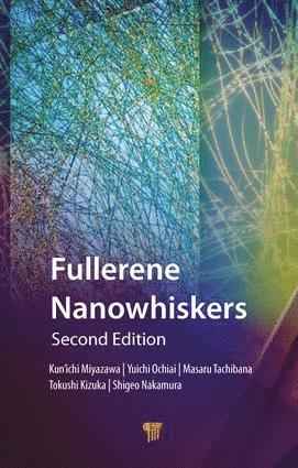 Fullerene Nanowhiskers 1