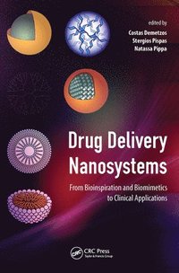 bokomslag Drug Delivery Nanosystems