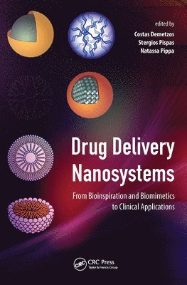 Drug Delivery Nanosystems 1