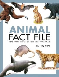 bokomslag Animal Fact File
