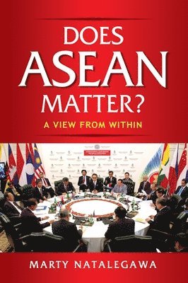 bokomslag Does ASEAN Matter?