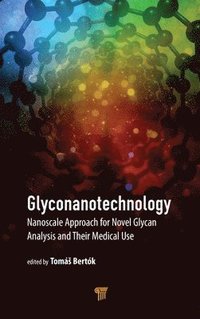 bokomslag Glyconanotechnology