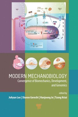 Juhyun Lee, Sharon Gerecht, Hanjoong Jo, Tzung Hsiai - Modern Mechanobiology, Inbunden
