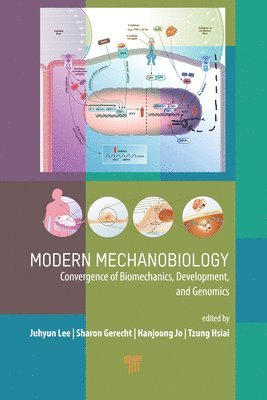 Modern Mechanobiology 1