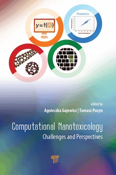 Agnieszka Gajewicz, Tomasz Puzyn - Computational Nanotoxicology, Inbunden