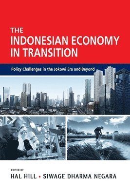 bokomslag Indonesian Economy in Transition