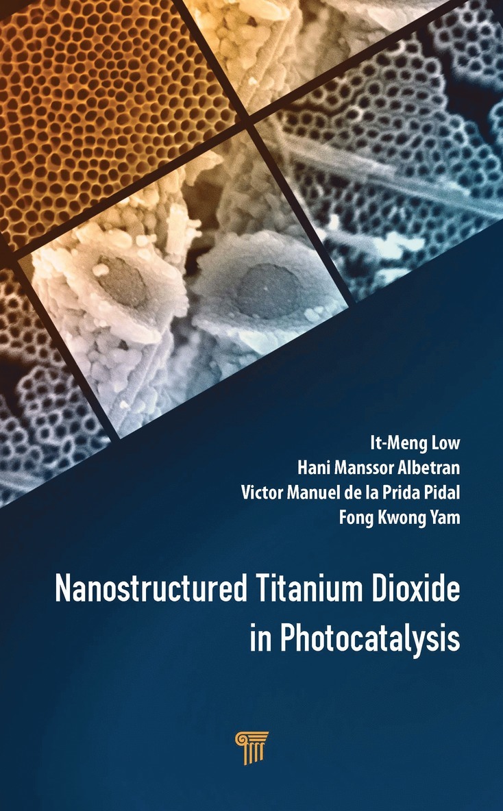 It-Meng Low, Hani Manssor Albetran, Victor Manuel de la Prida Pidal, Fong Kwong Yam - Nanostructured Titanium Dioxide in Photocatalysis, Inbunden