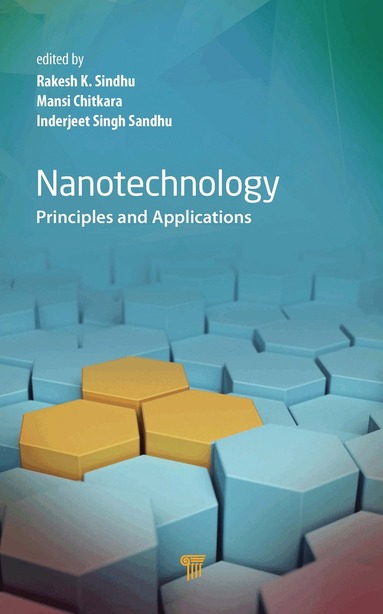 Rakesh K. Sindhu, Mansi Chitkara, Inderjeet Singh Sandhu - Nanotechnology, Inbunden