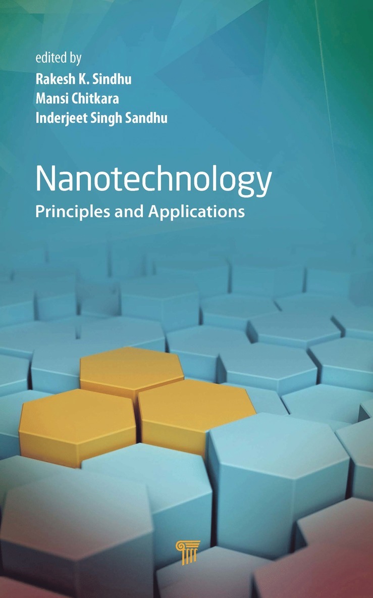 Rakesh K. Sindhu, Mansi Chitkara, Inderjeet Singh Sandhu - Nanotechnology, Inbunden