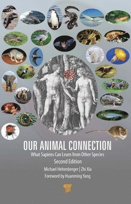 Our Animal Connection 1