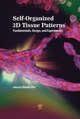 bokomslag Self-Organized 3D Tissue Patterns