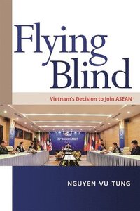 bokomslag Flying Blind