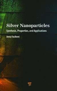 bokomslag Silver Nanoparticles