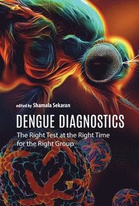 bokomslag Dengue Diagnostics