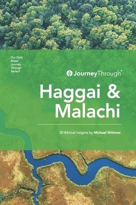 bokomslag Journey Through Haggai & Malachi