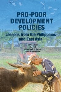 bokomslag Pro-poor Development Policies