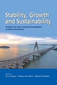 bokomslag Stability, Growth and Substainability